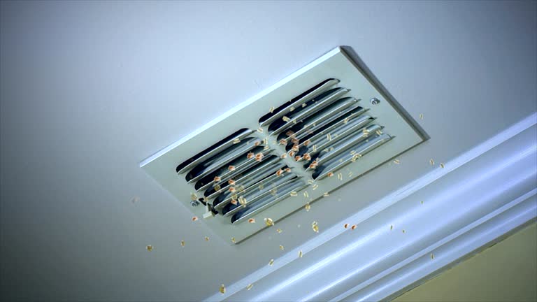 Best HVAC Maintenance and Cleaning  in Lakewood Park, TN